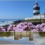 The Conifers With Private Garden Wexford