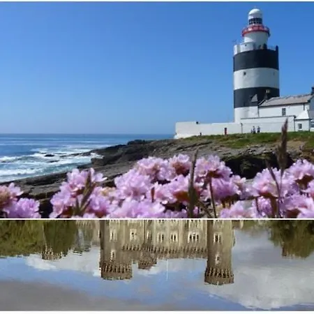 The Conifers With Private Garden Wexford