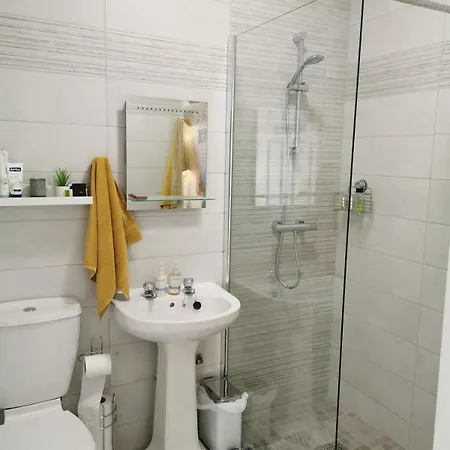 아파트 The Conifers With Private Garden 웩스퍼드