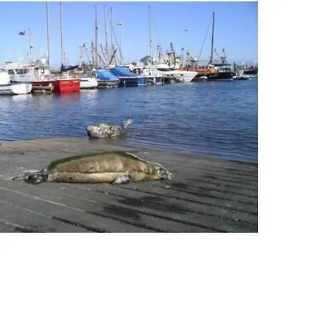 The Conifers With Private Garden *