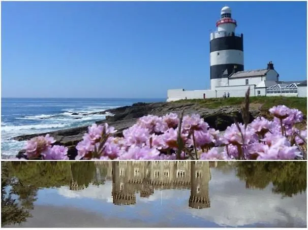 The Conifers With Private Garden ウェックスフォード